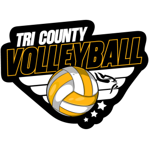 5 Inch Volleyball Decal - Design 2